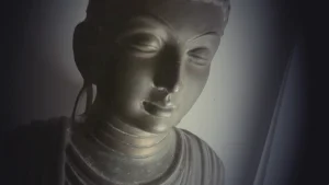 Pourquoi avez-vous mis la terre dans cet état